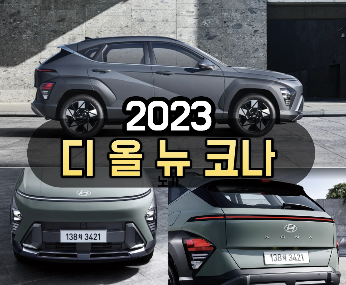 코나 가격
