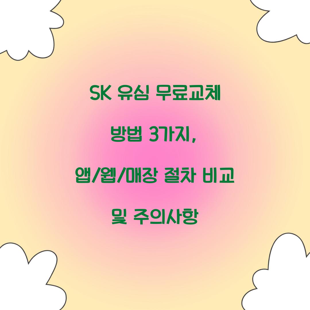 SK 유심 무료교체 방법 3가지: 앱/웹/매장 절차 비교
