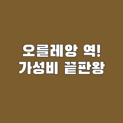 프랑스 오를레앙 숙소 추천 기차역 근..