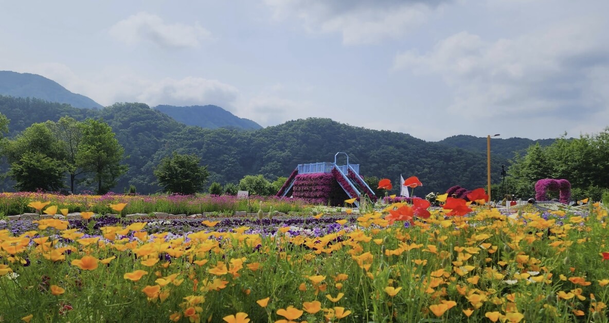 Colorful Garden 자라섬 꽃 페스타