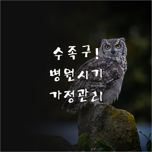 하동군 수족구 대응 방법 병원 방문 ..