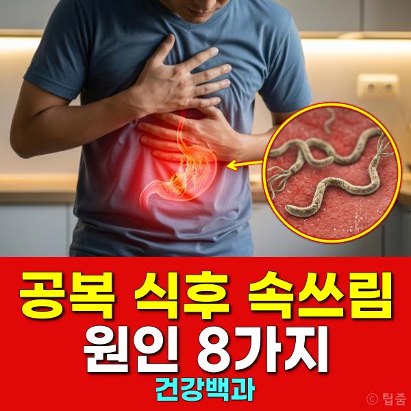 속이 쓰린 이유 속쓰림 원인
