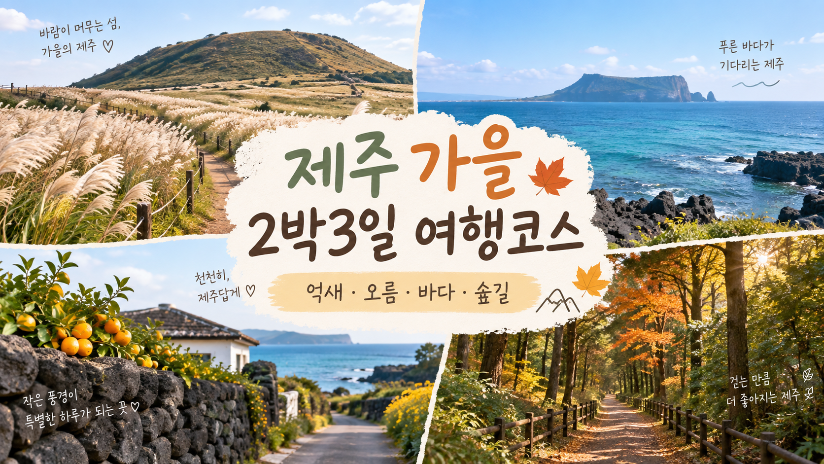 제주 가을 2박3일 여행코스