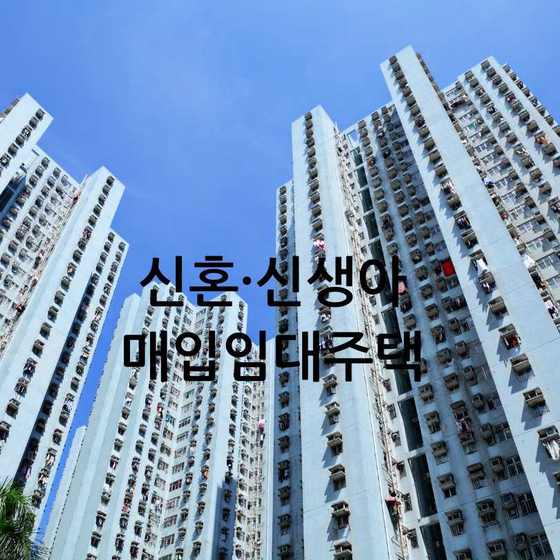 2025년 매입임대주택