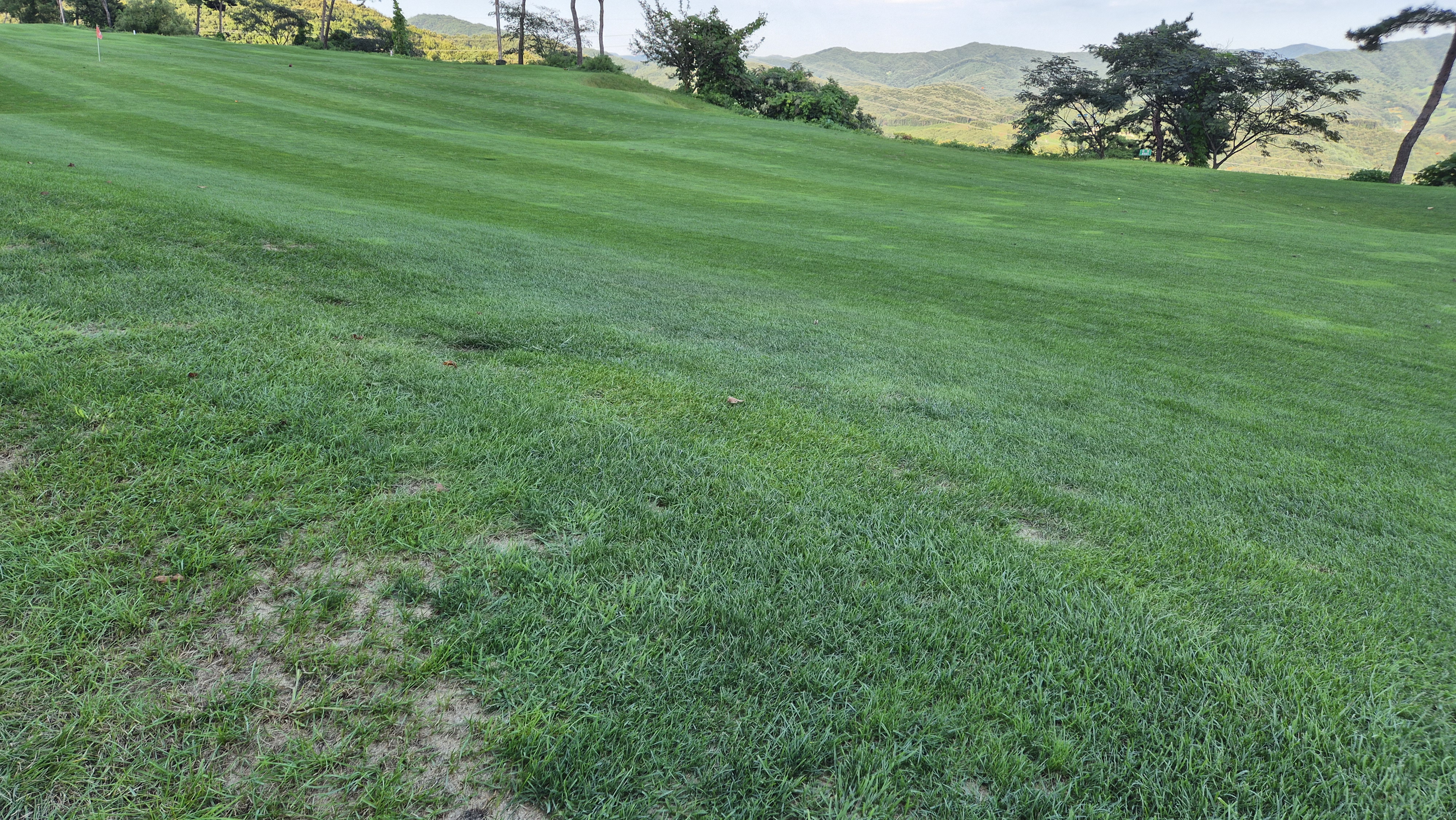 마론cc 라운드 후기