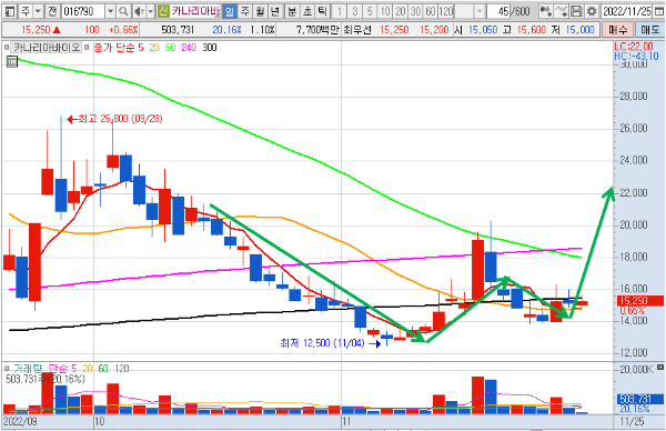 카나리아바이오 일봉 차트