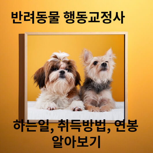 반려동물 행동교정사