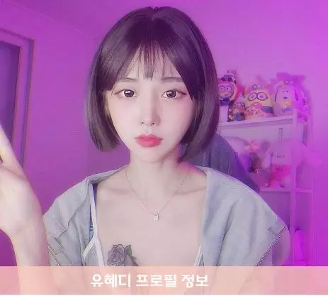 유혜디 프로필 유헤디 정보