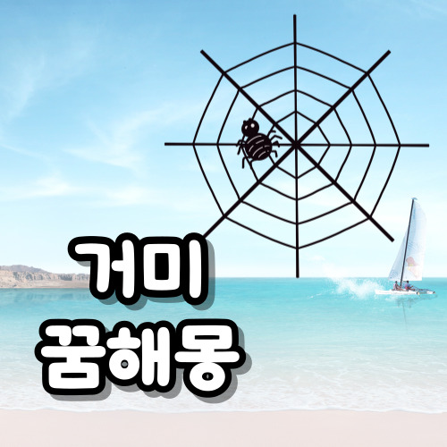 거미꿈해몽