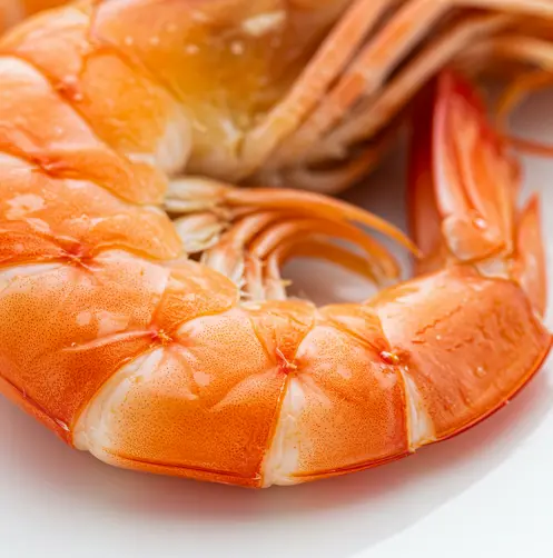 새우-철은-언제인가요-2