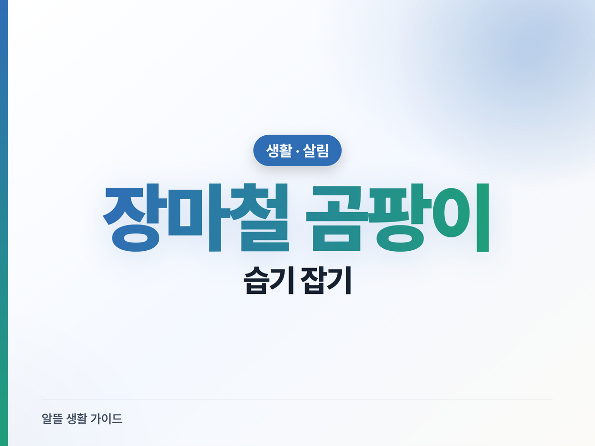 장마철 곰팡이·습기, 욕실·벽지·옷장 잡는 법