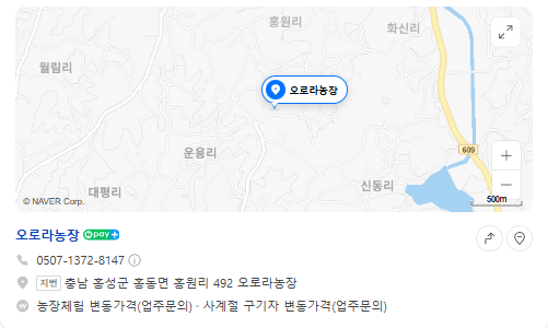 생방송투데이 이주의장바구니 홍성냉이 구매 정보 가격 오로라농장