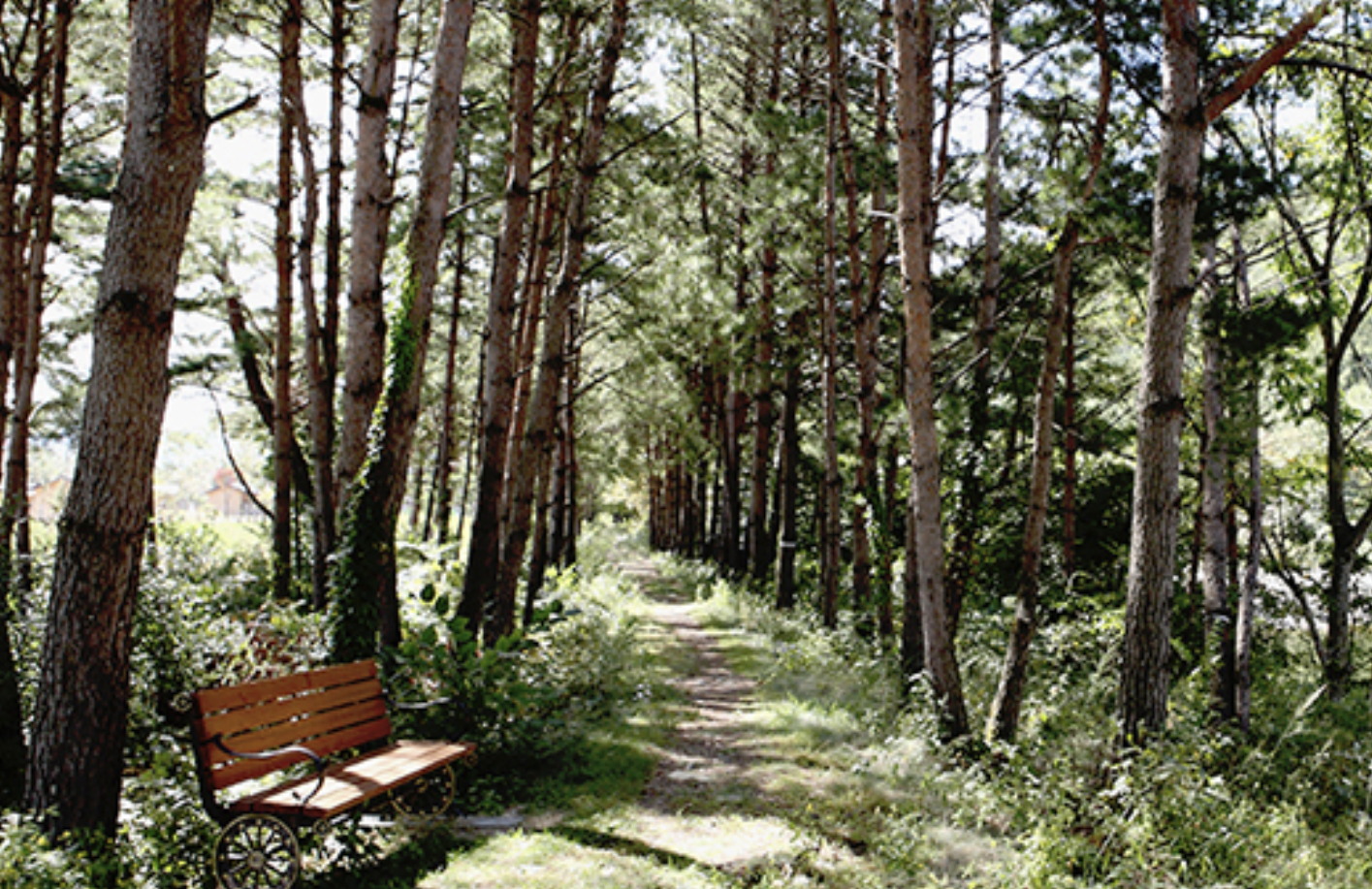 오대산자연명상마을 전경