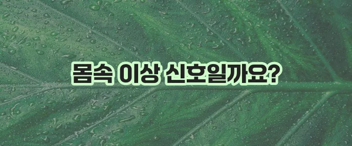 혈뇨가 나오는 이유가 되는 9가지 원인