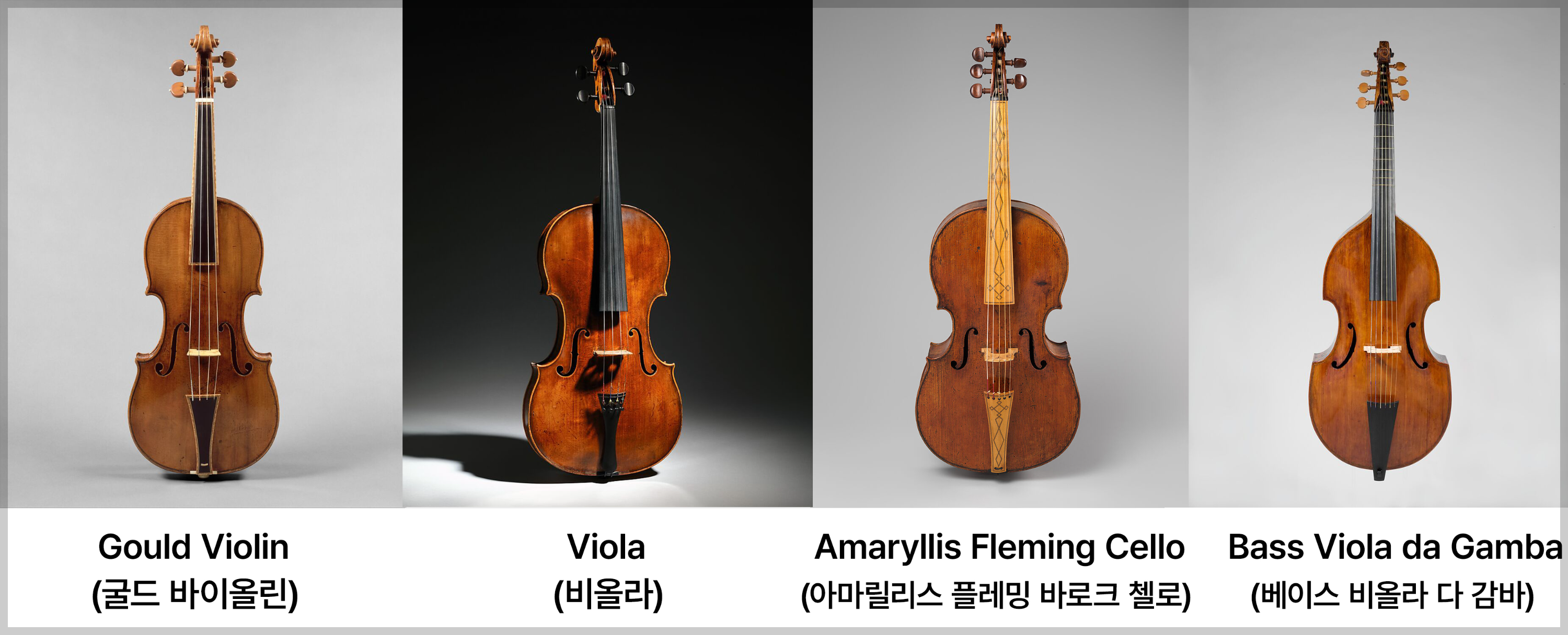바로크시대의 현악기 - 🎻 현악기
‘굴드’ 바이올린 (Violin, “Gould”), 비올라 (Viola), ‘아마릴리스 플레밍’ 바로크 첼로 (Baroque Violoncello, “Amaryllis Fleming”), 베이스 비올라 다 감바 (Bass Viola da gamba)