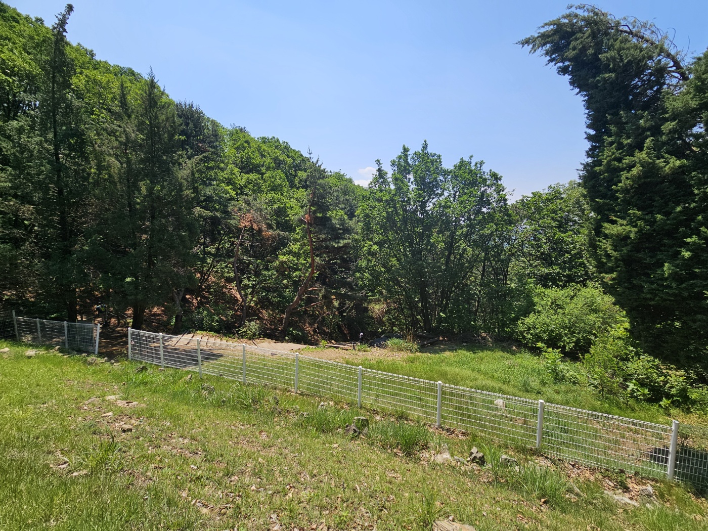 유길준 지묘 (검단산)