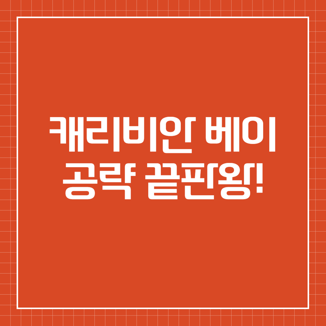 캐리비안 베이 공략 끝판왕!