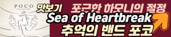 포코