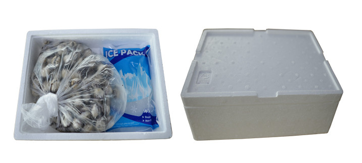 생방송투데이 꼬막 전남 보성 벌교꼬막