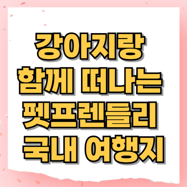 강아지랑 함께 떠나는 펫프렌들리 국내 여행지