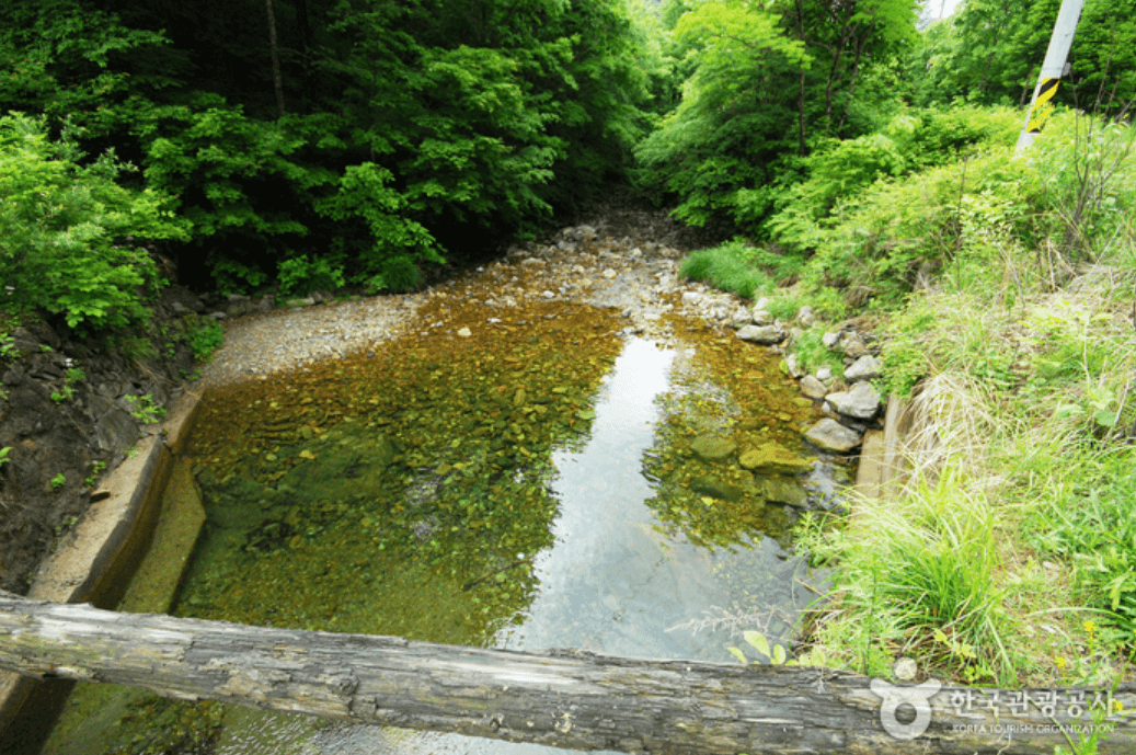 국립 삼봉자연휴양림