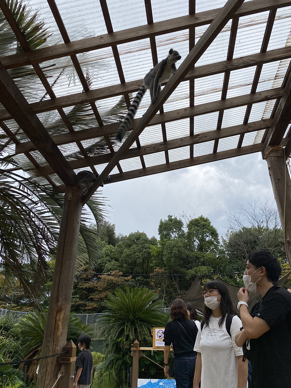 이누야마몽키센터