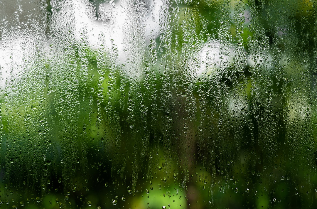 Moisture