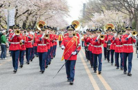 여의도 벚꽃축제 개막 퍼레이드>