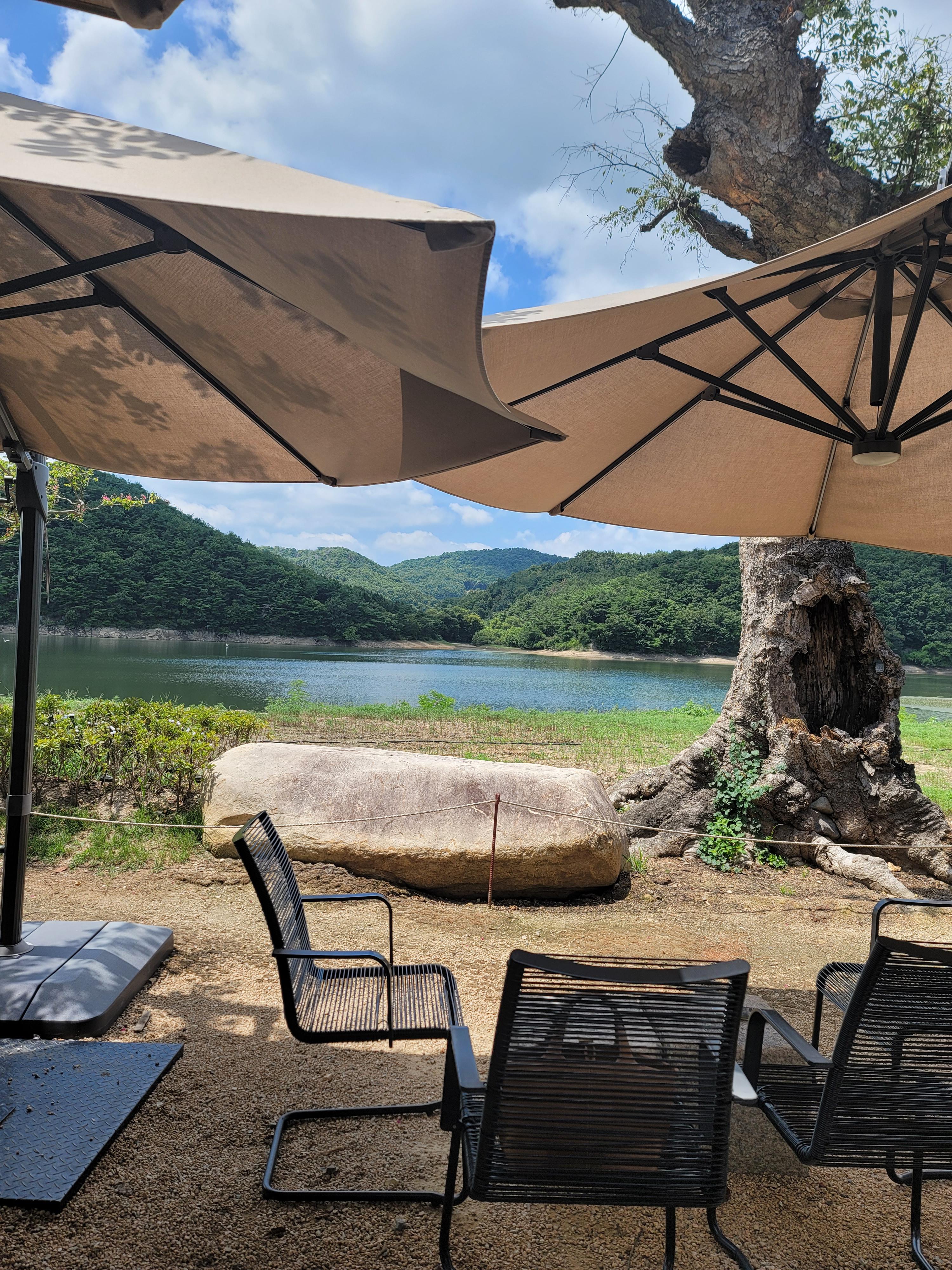 경주 카페 아래헌 저수지 풍경