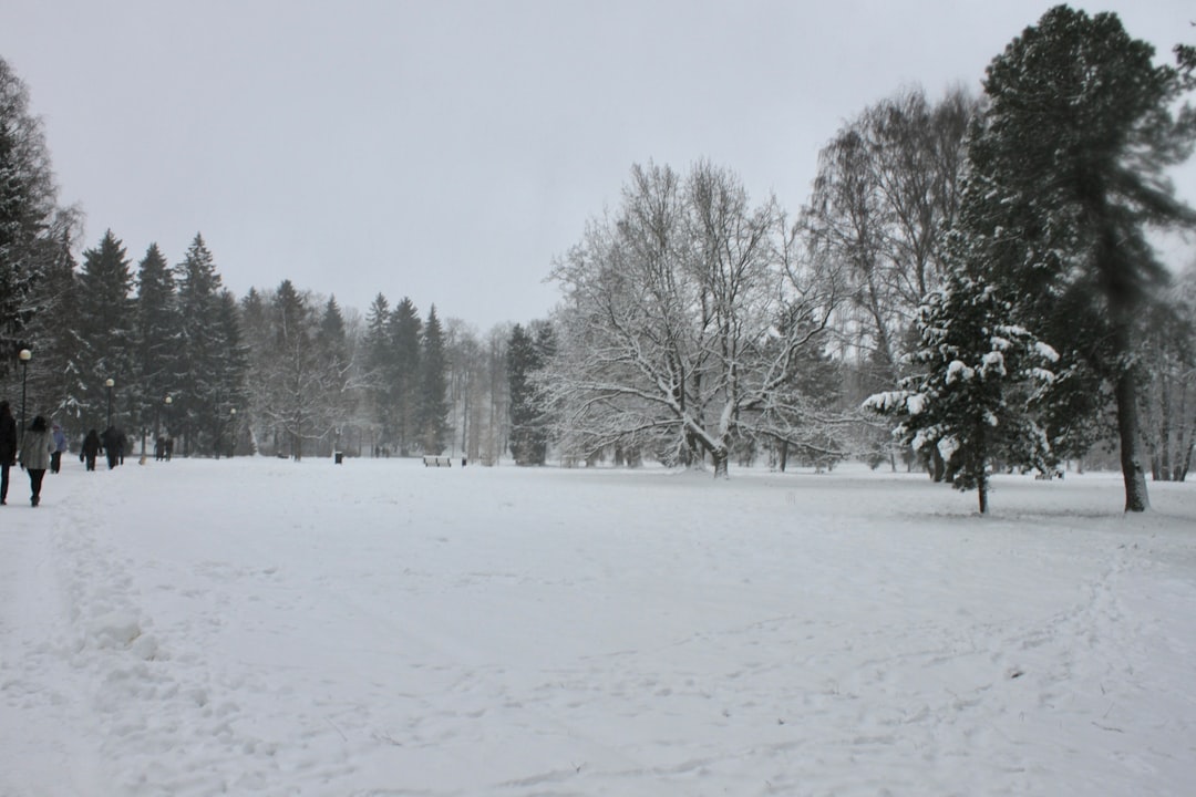 Winter