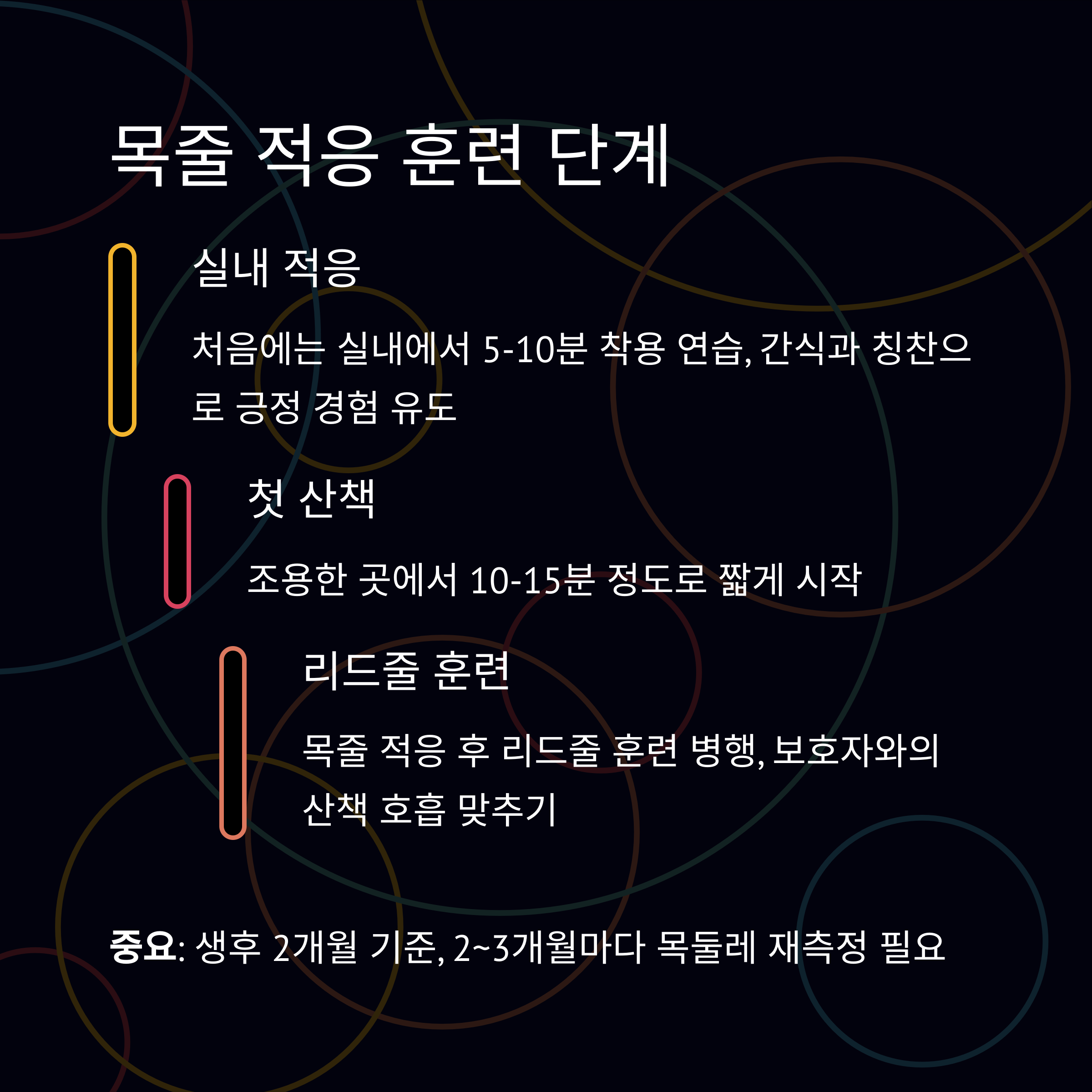 목줄 적응 훈련 단계