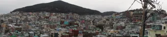 부산 가볼만한곳 베스트10 여행 놀거리 맛집_24