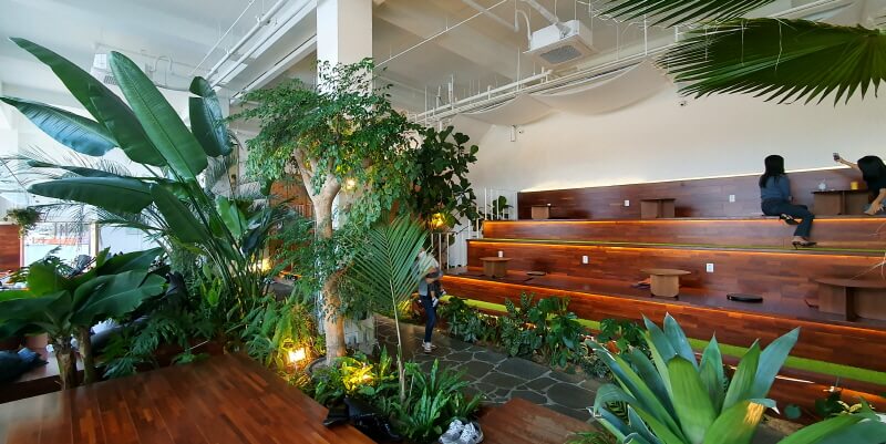 남양주-카페-라온숨-식물관-식물원