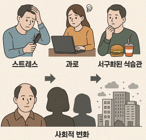 최근 탈모 인구 증가 원인 분석과 사회적 변화
