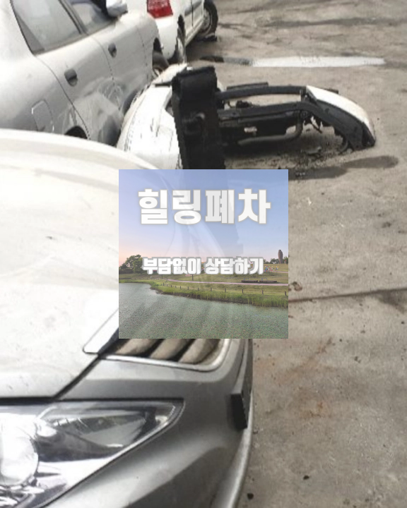 번호판 분실 영치 행정확인
