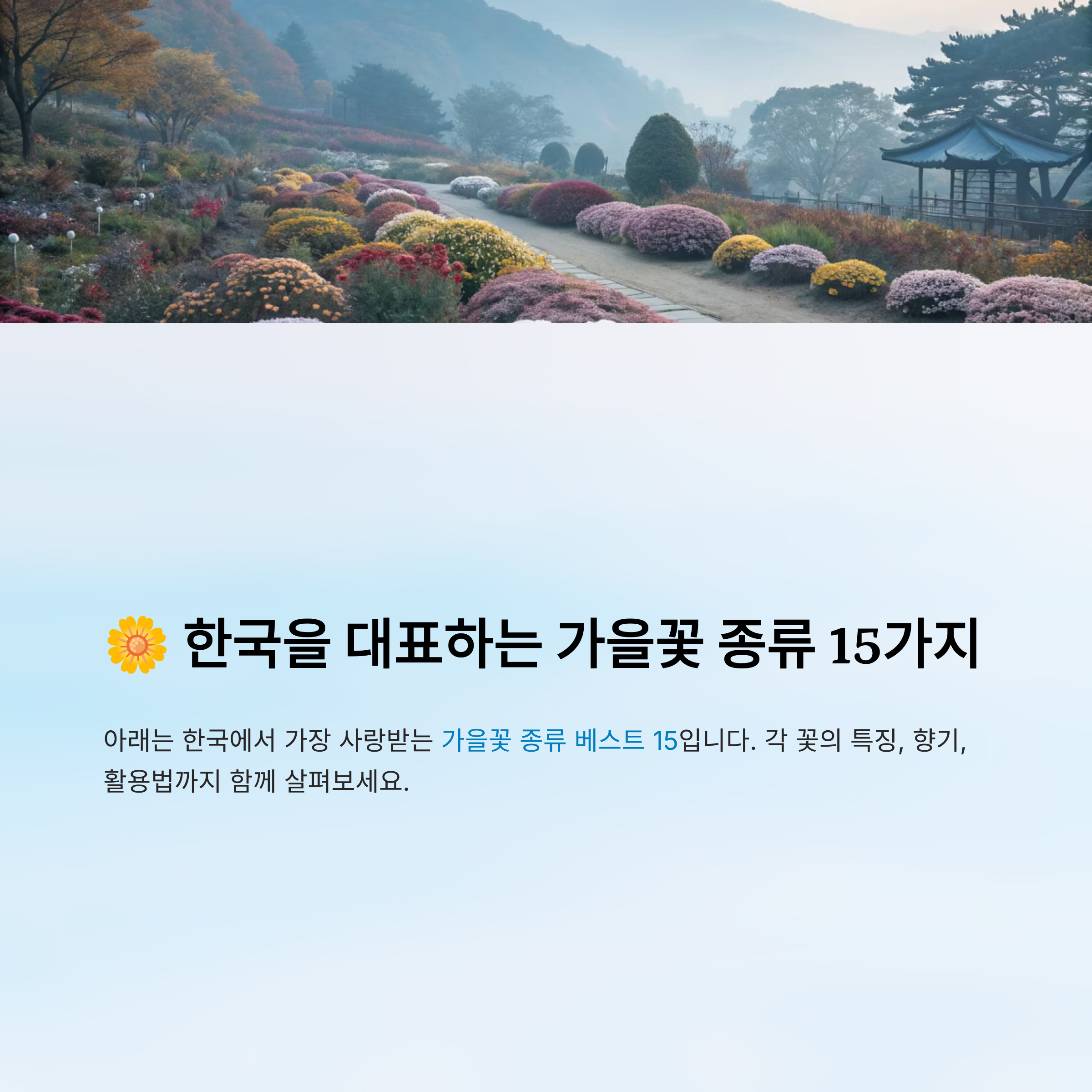 가을꽃 종류 알아보기