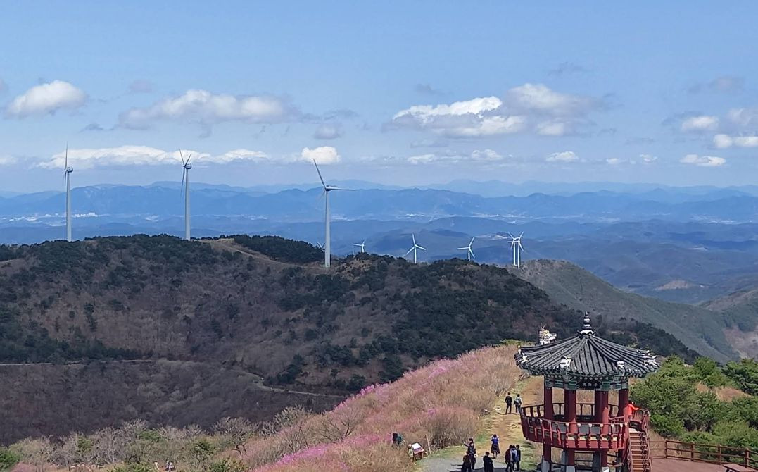 쇠목재