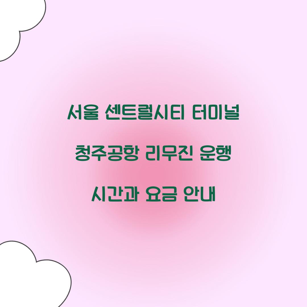 서울 센트럴시티 터미널 청주공항 리무진