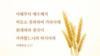 회개 기도문 모음 Best 3 정리_7