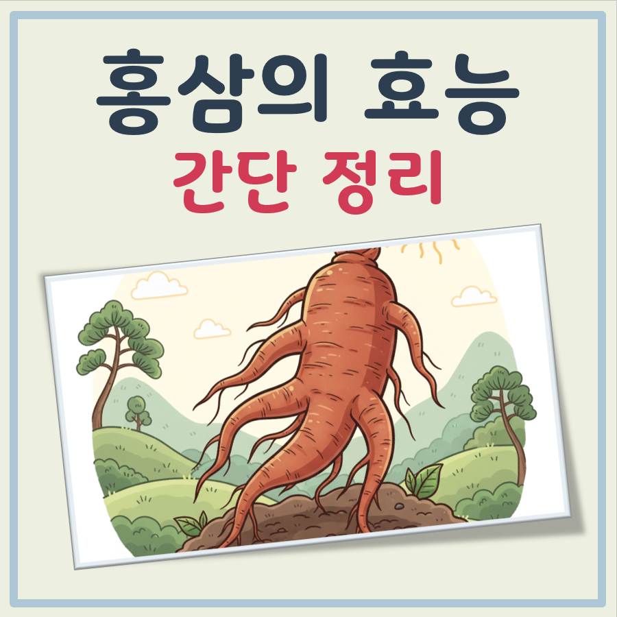 홍삼의 효능