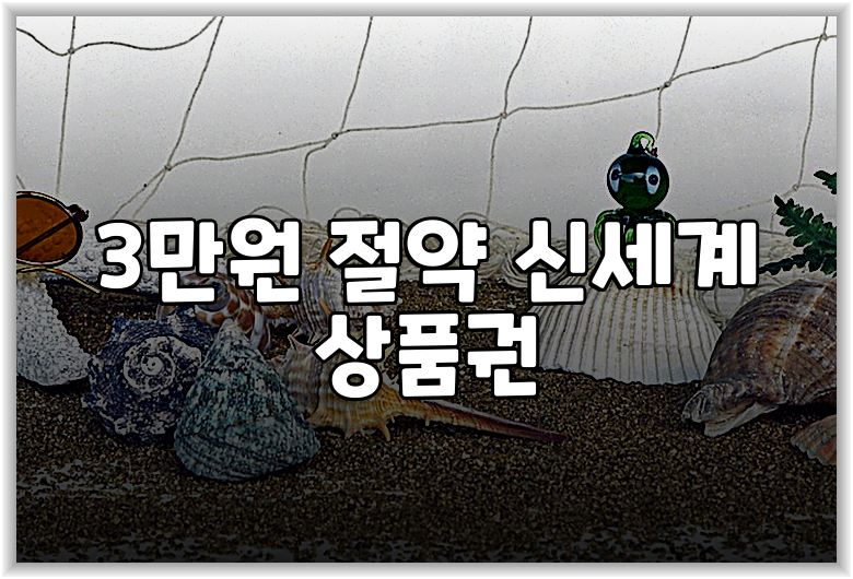 3만원 절약 신세계 상품권