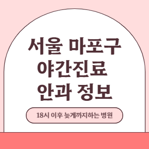 서울 마포구 야간진료 안과 병원 (18시 이후 늦게까지하는 병원)