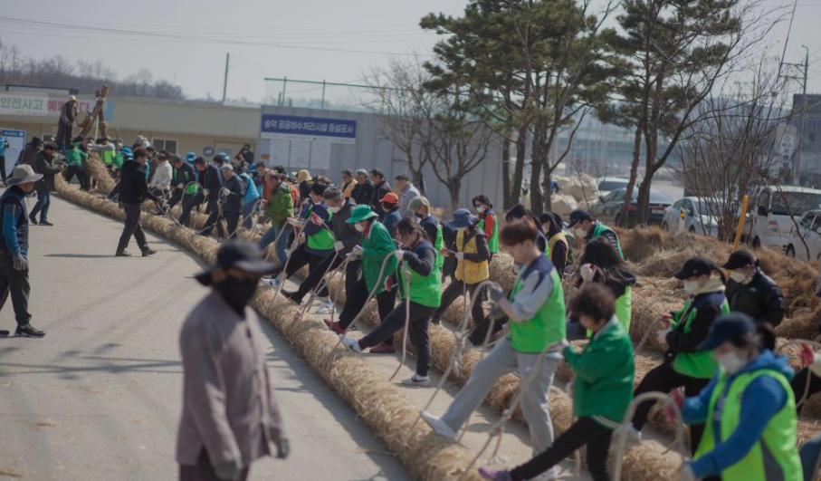 줄은 보통 길이 200m, 무게 수 톤 이상(볏짚으로 직접 꼬아 제작)