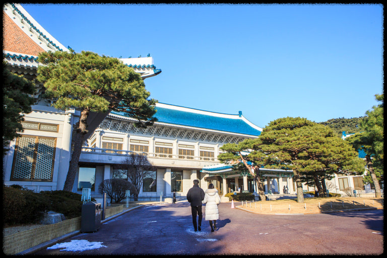 청와대 마지막 관람 신청, 지금 안 하면 후회합니다!