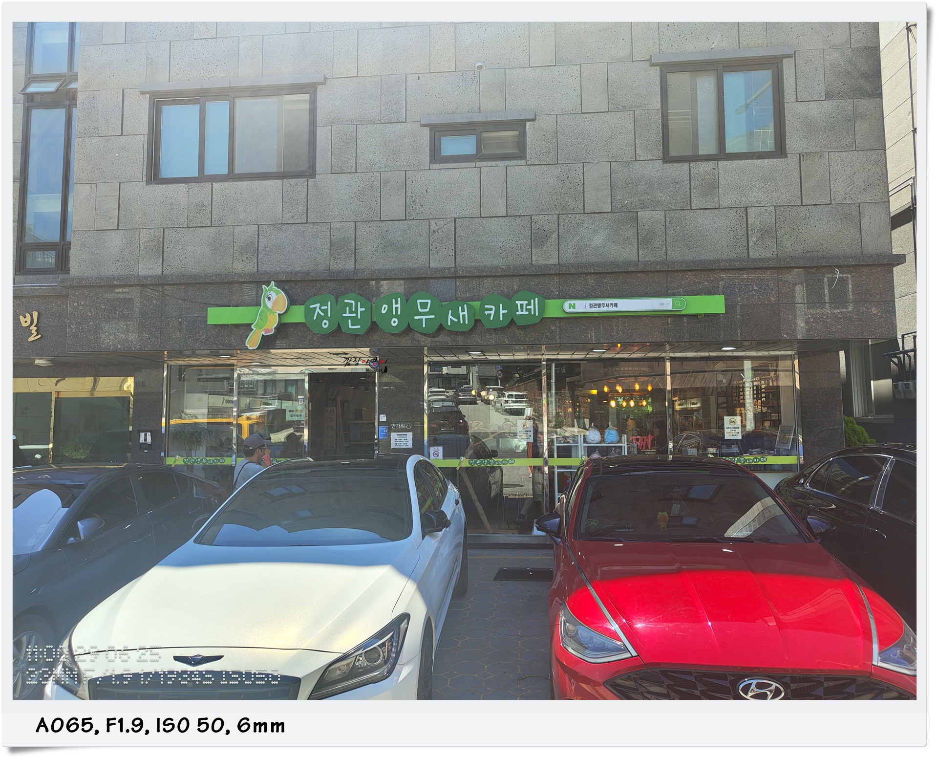 정관 앵무새 카페 (귀여운 도마뱀도 있어요)