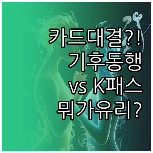 기후동행카드와 K패스 비교 어떤 게 ..