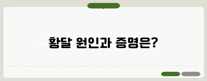 황달의 원인과 증상: 간 건강 체크하기