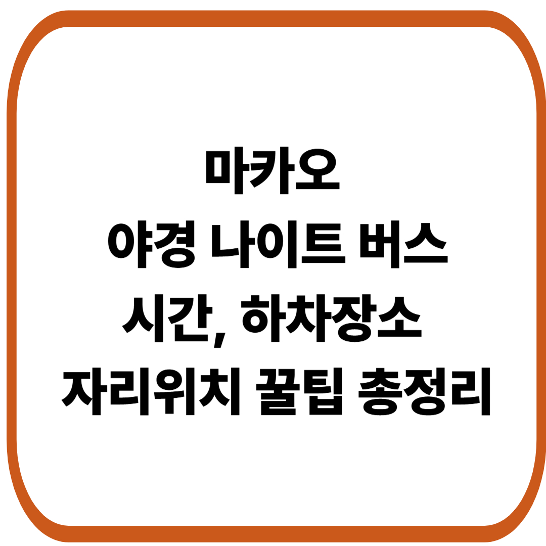 마카오 야경 나이트 버스 예약시간, 하차장소, 자리위치 꿀팁 총정리!
