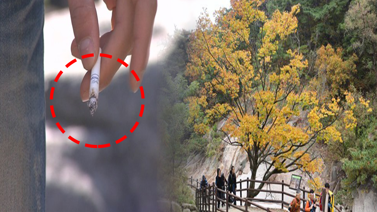 이제부터 산에서 흡연을 하다 적발이 되면 가차없이 60만원의 과태료가 부과가 됩니다.