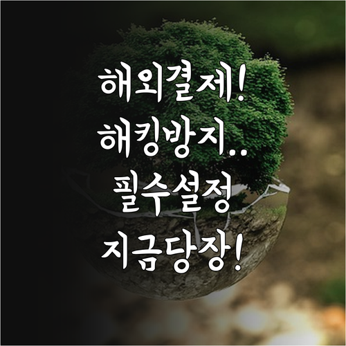 해외 부정 사용 방지 설정 해제 및 ..